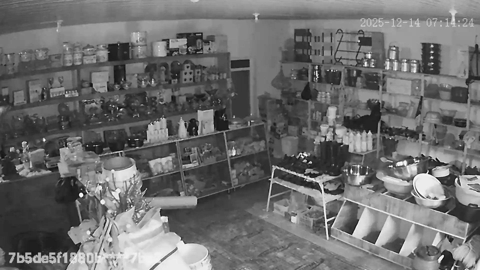 Камера видеонаблюдения Wi Fi уличная smart camera ptz