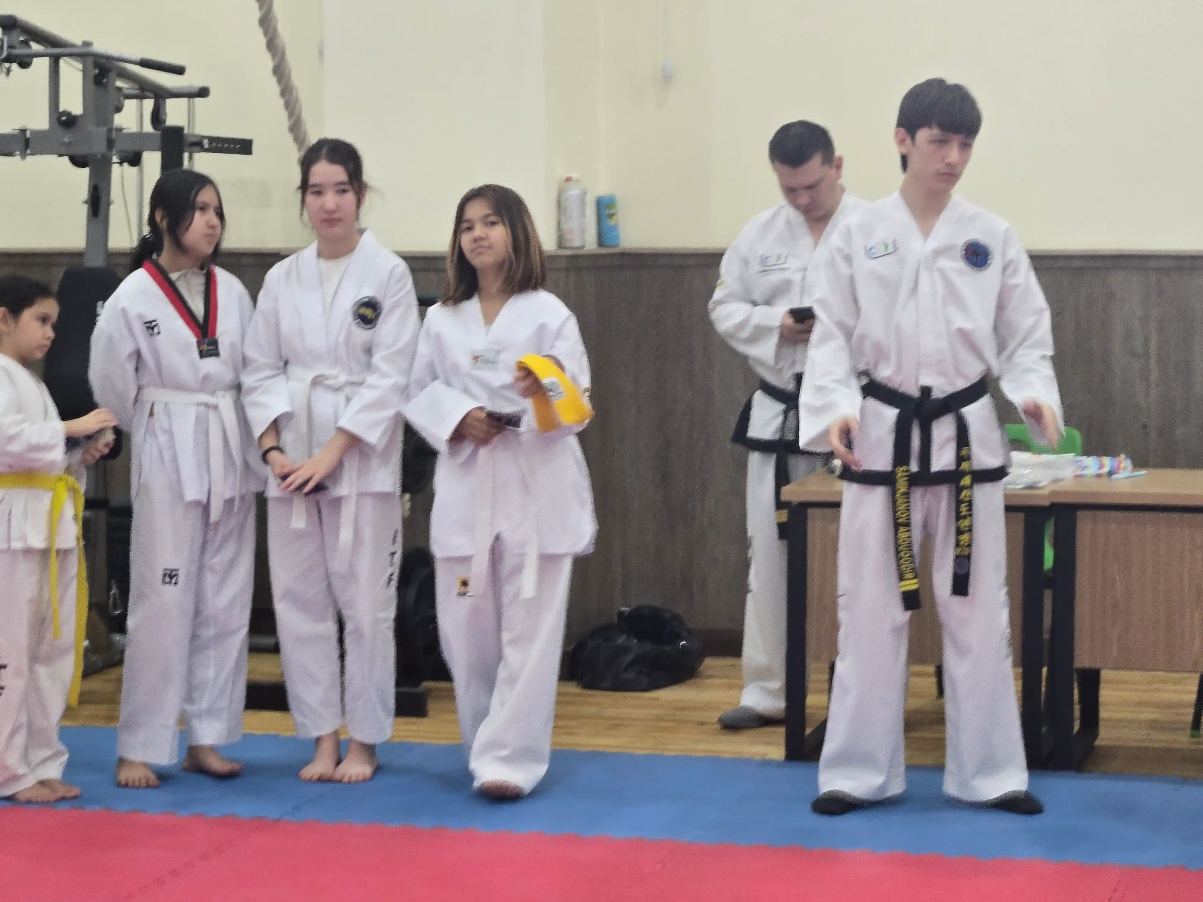 Kimano WTF Taekwondo,Karate,Qo'l Jangi