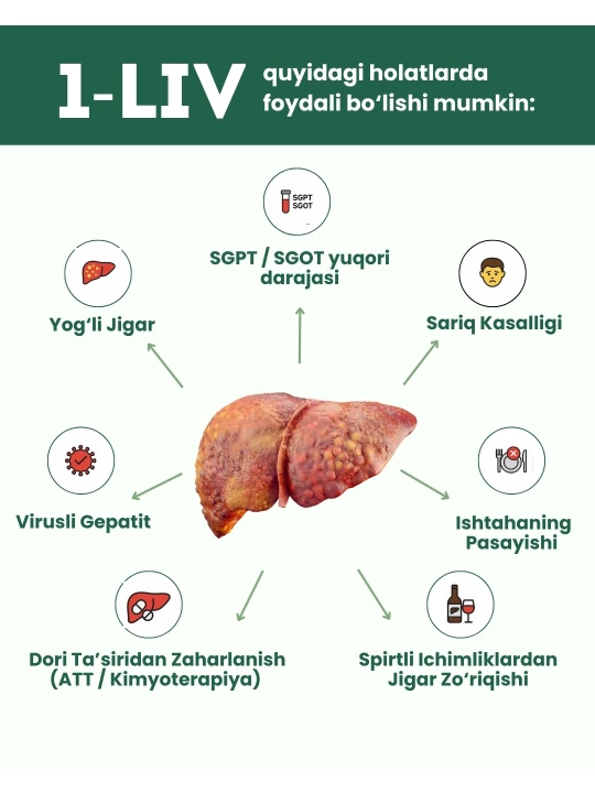 1 LIV, O‘simlik asosidagi jigarni qo‘llab-quvvatlash, 60 tabletka