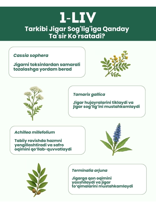 1 LIV, O‘simlik asosidagi jigarni qo‘llab-quvvatlash, 60 tabletka
