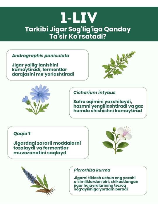 1 LIV, O‘simlik asosidagi jigarni qo‘llab-quvvatlash, 60 tabletka
