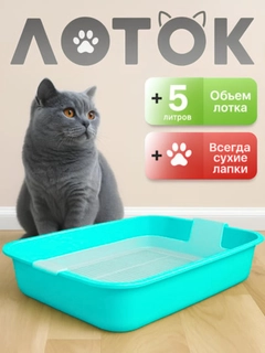 Ледяной