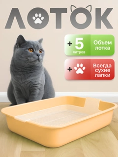 Молочный