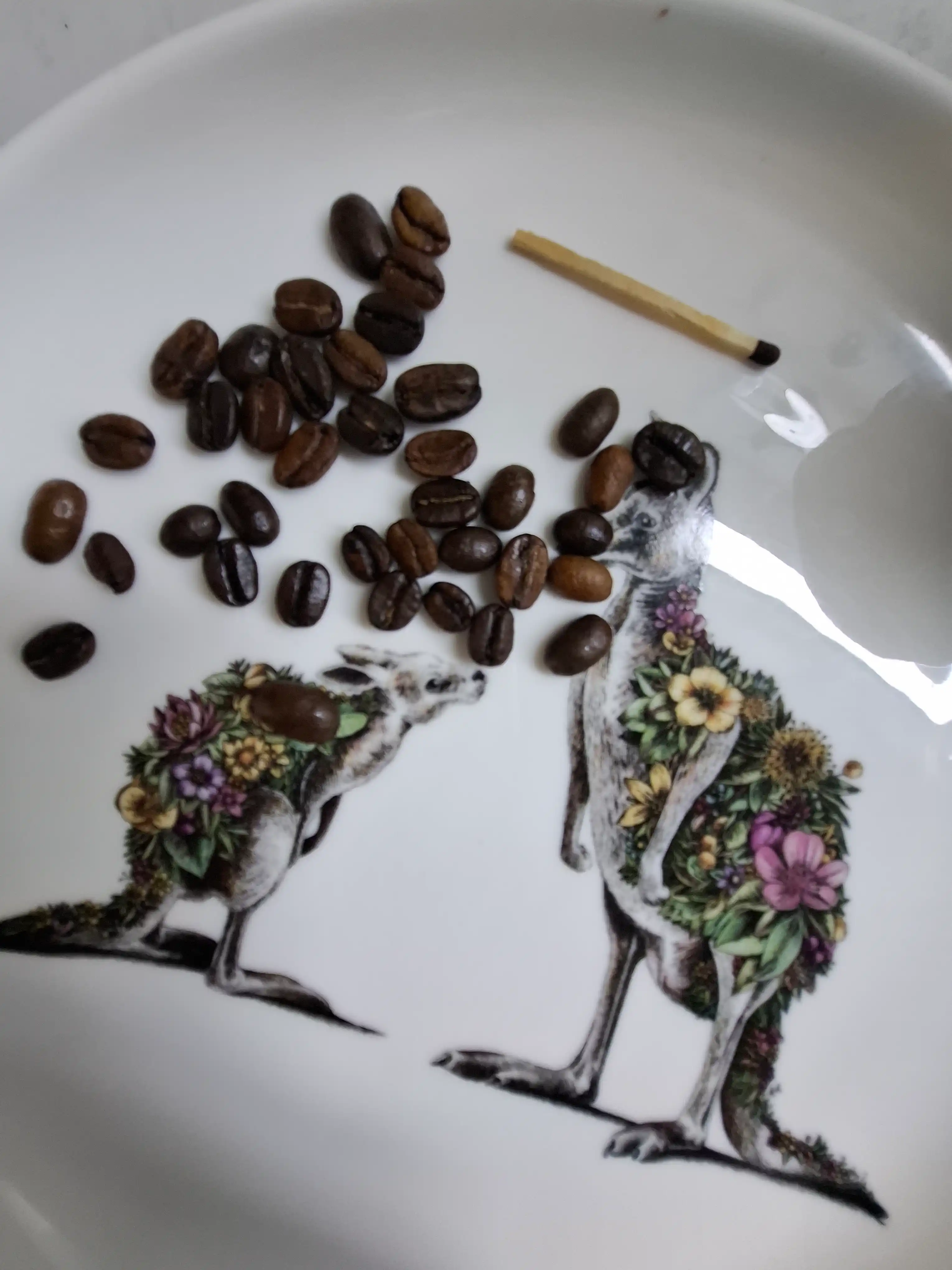 Кофе в зёрнах JUM Silk Road Coffee, 500 г