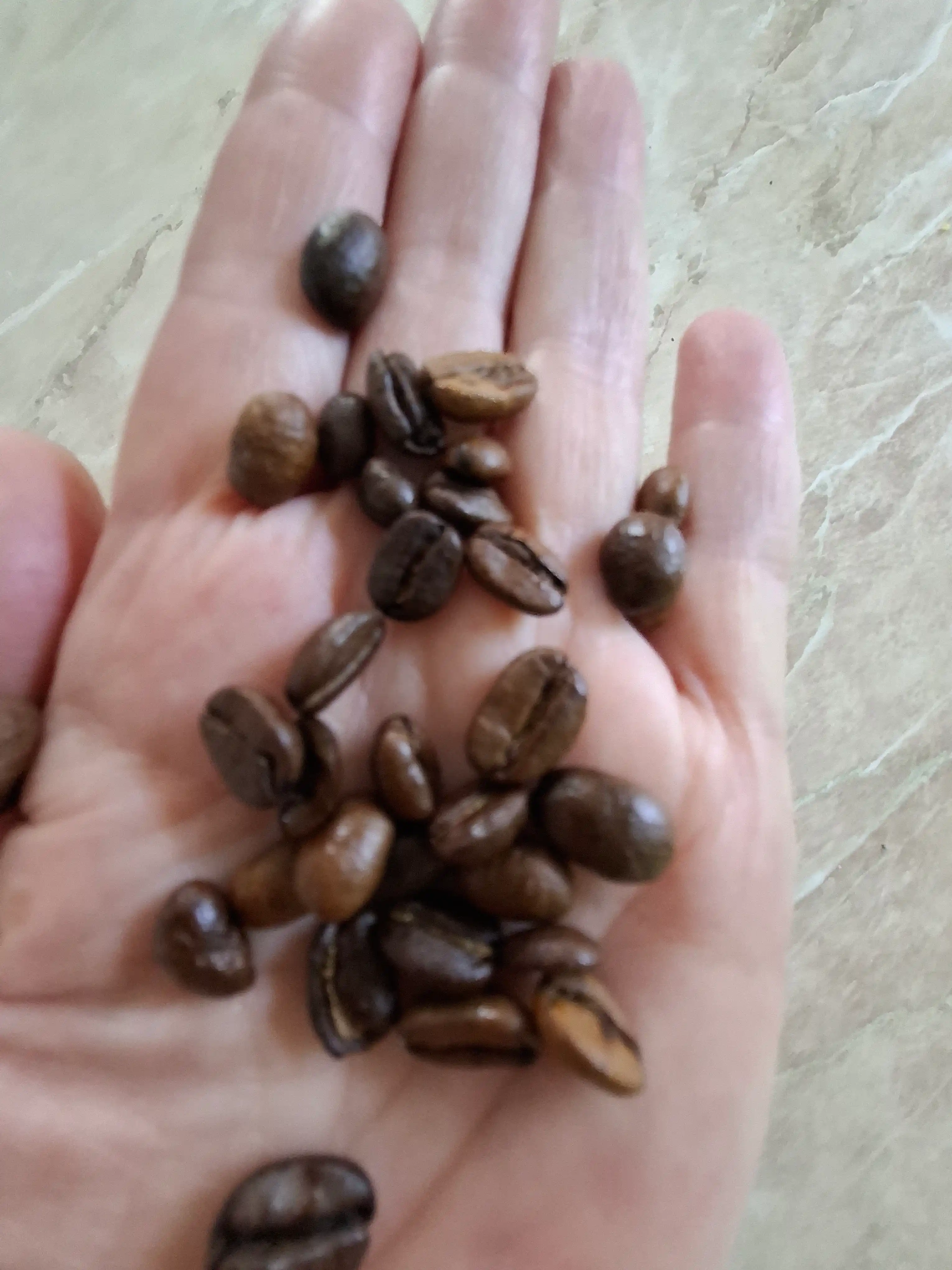 Кофе в зёрнах JUM Silk Road Coffee, 500 г