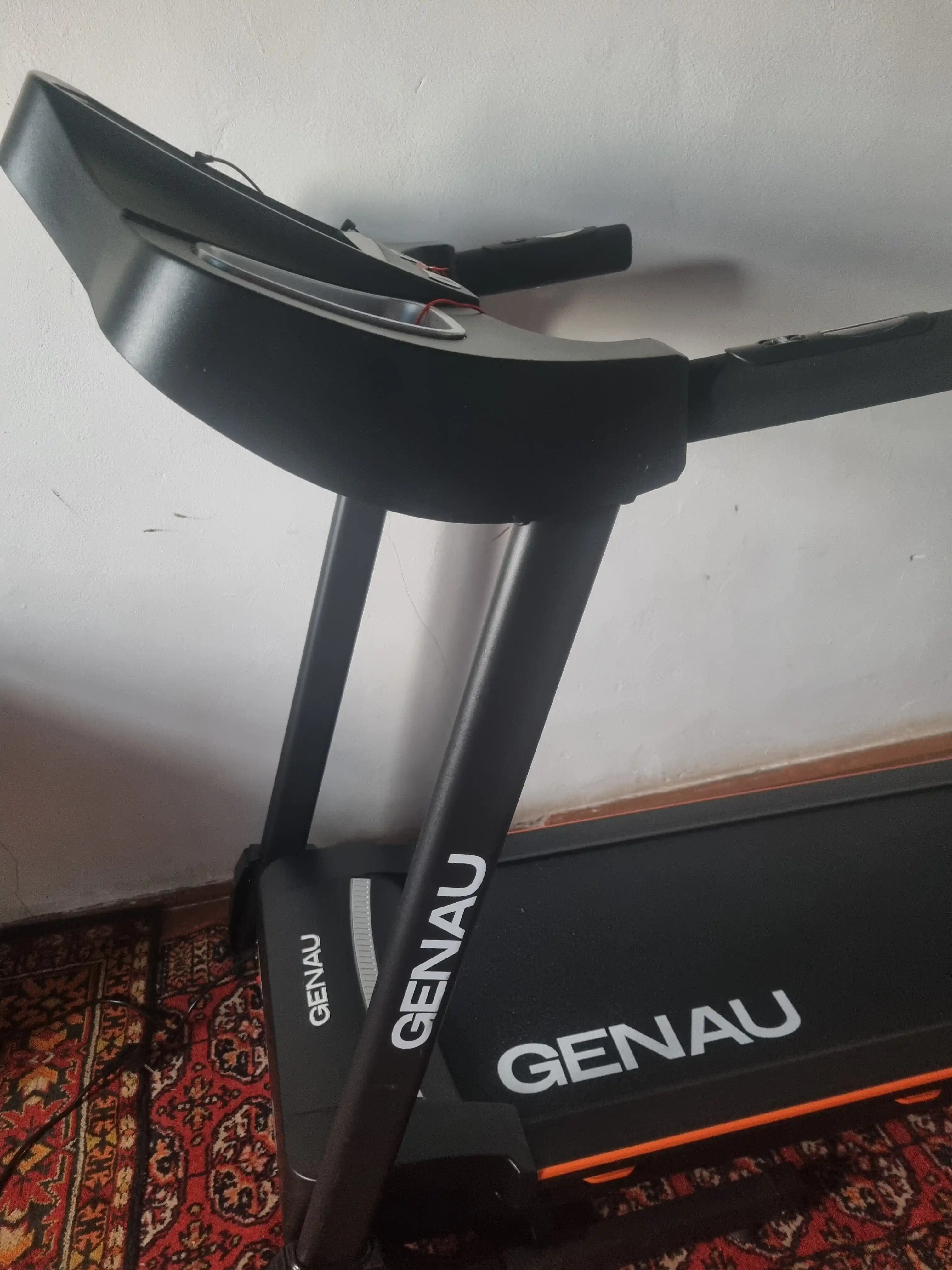 Беговая дорожка Genau TR50, электродвигатель Schlumdenger, вес 120 кг, RT2-10A