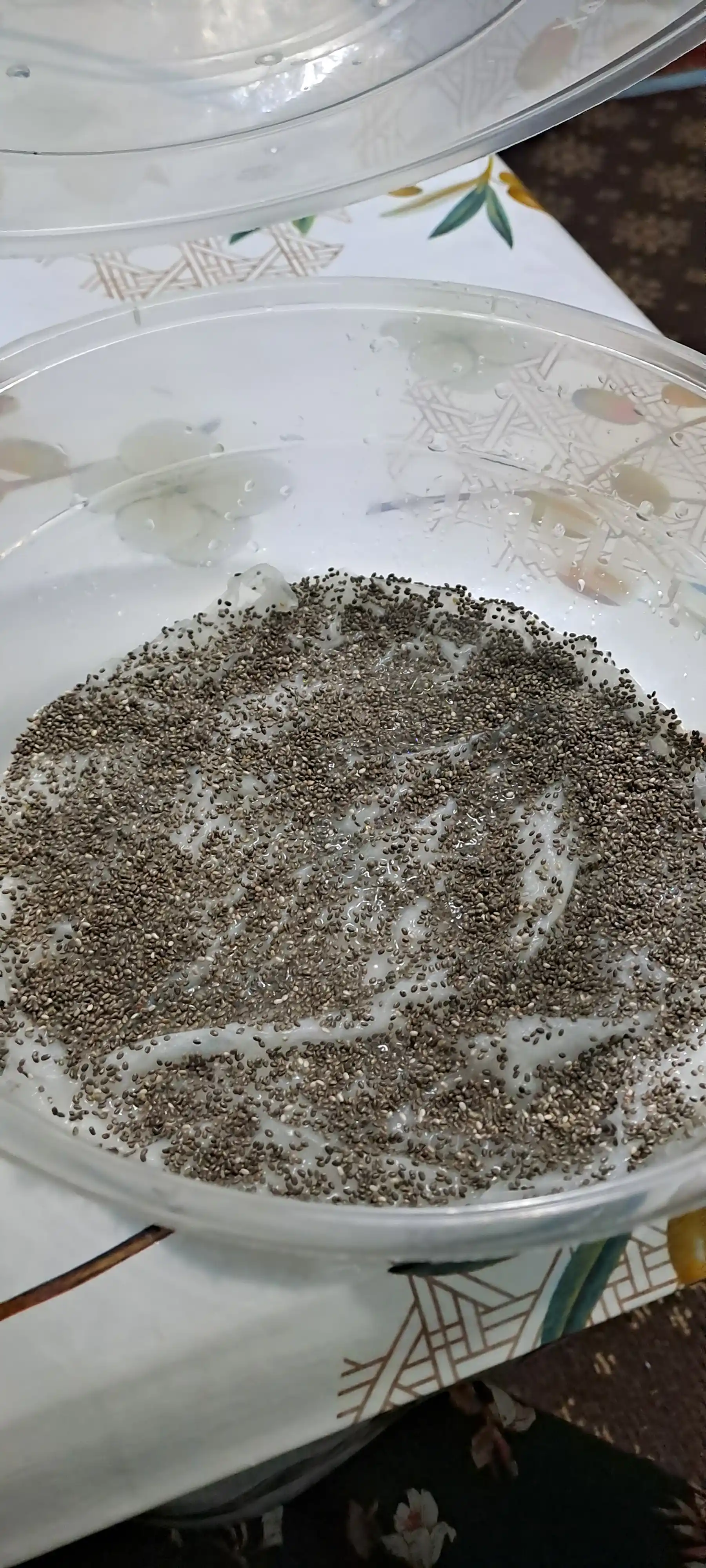 Chia urug'i, tabiiy qora "HORUN" dan, 150 gr