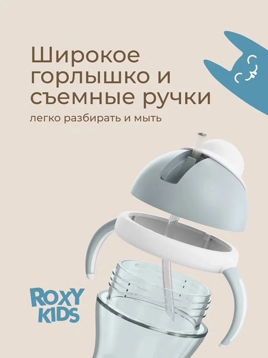 ROXY-KIDS Поильник непроливайка, детская бутылочка с трубочкой 200 мл