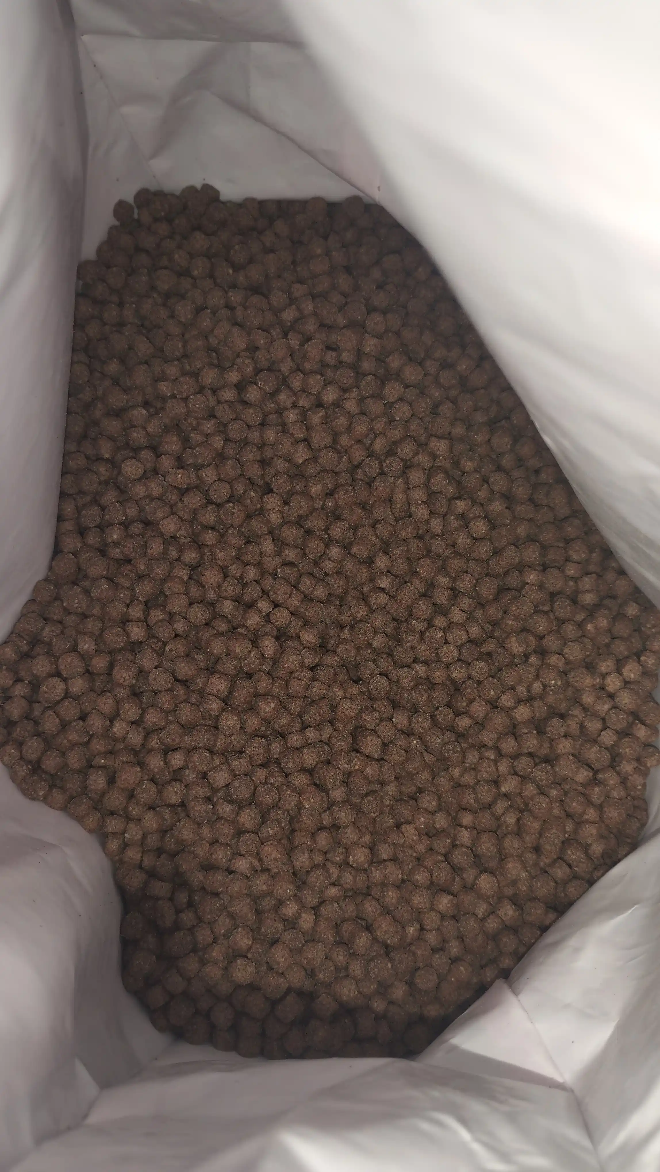 Сухой корм для котят с говядиной Winny , 2кг,10кг, (1-12 месяцев)