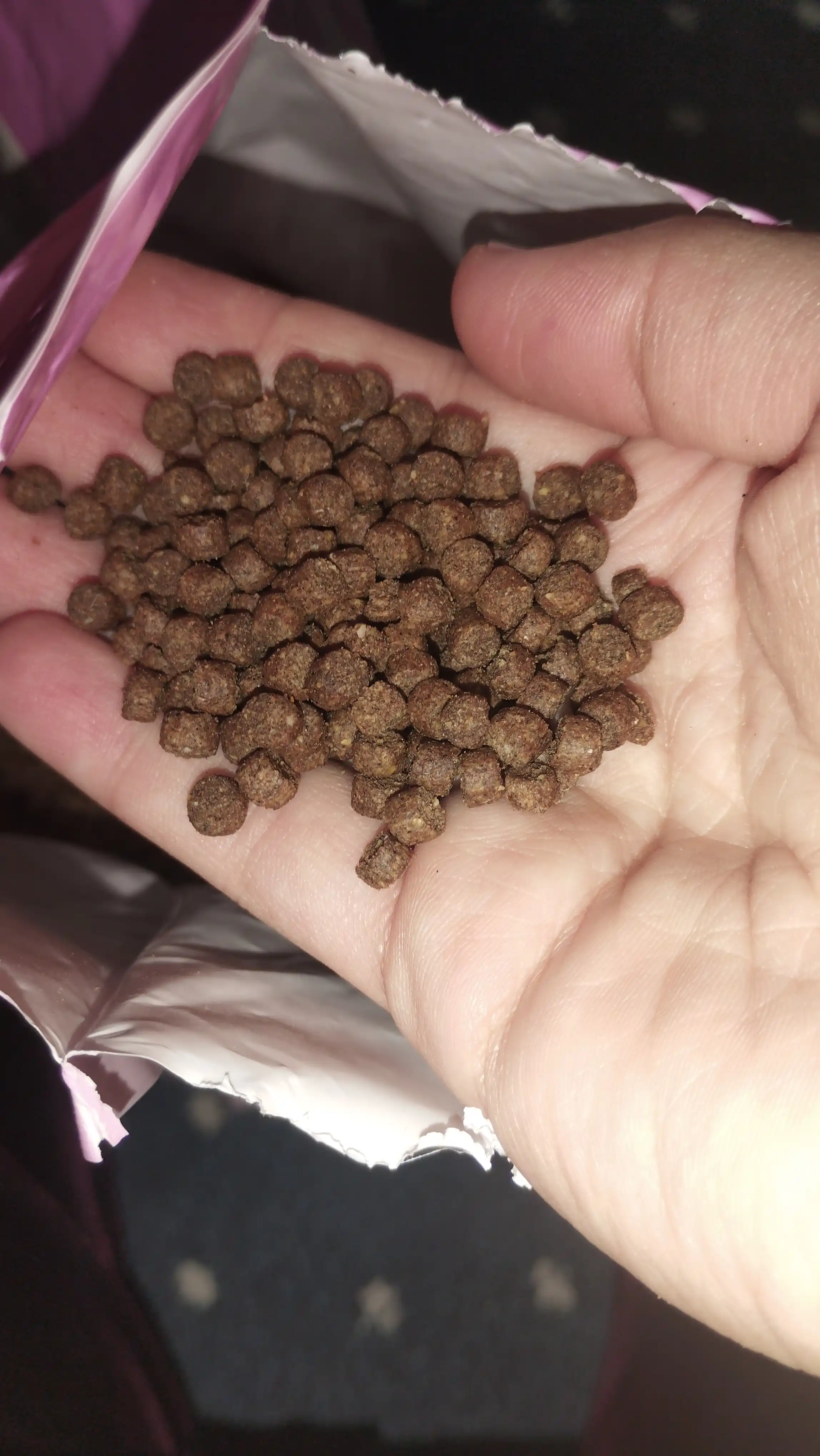 Сухой корм для котят с говядиной Winny , 2кг,10кг, (1-12 месяцев)