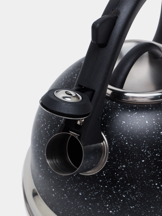 Zepter 3.5 L choynak svistok bilan, zanglamaydigan po‘lat, uy va oshxona uchun
