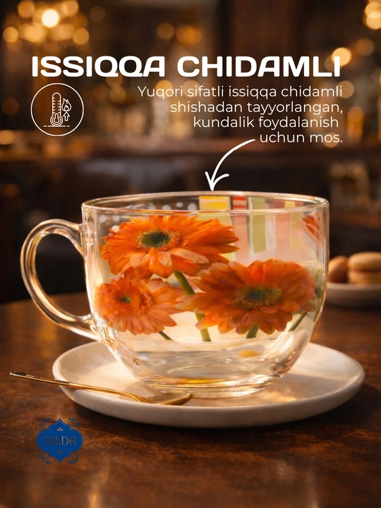 Shisha krujka, 300 ml, issiqqa chidamli, ergonomik tutqichli, choy va qahva uchun