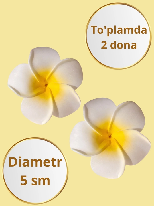 Заколка для волос в виде гавайского цветка, женская заколка цветок, Plumeria