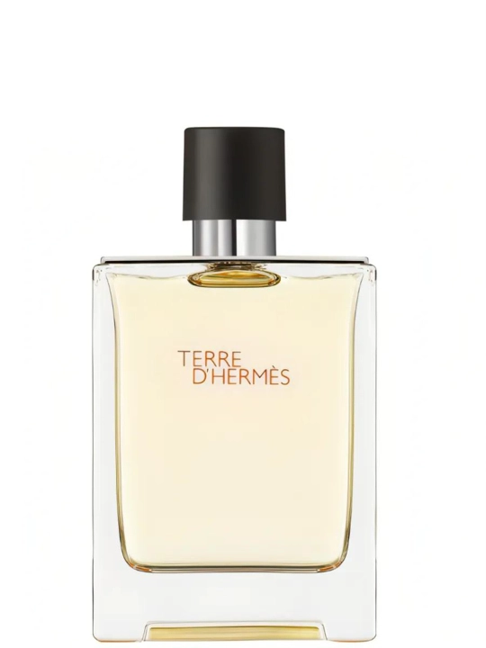 Туалетная вода для мужчин Hermes Terre D'Hermes, 100 мл 