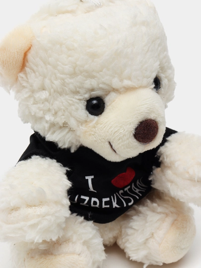 Брелок мишка с присоской – для авто и ключей, мягкая игрушка, 3 цвета — AUTOT-TEDDY-БЕЛЫЙ