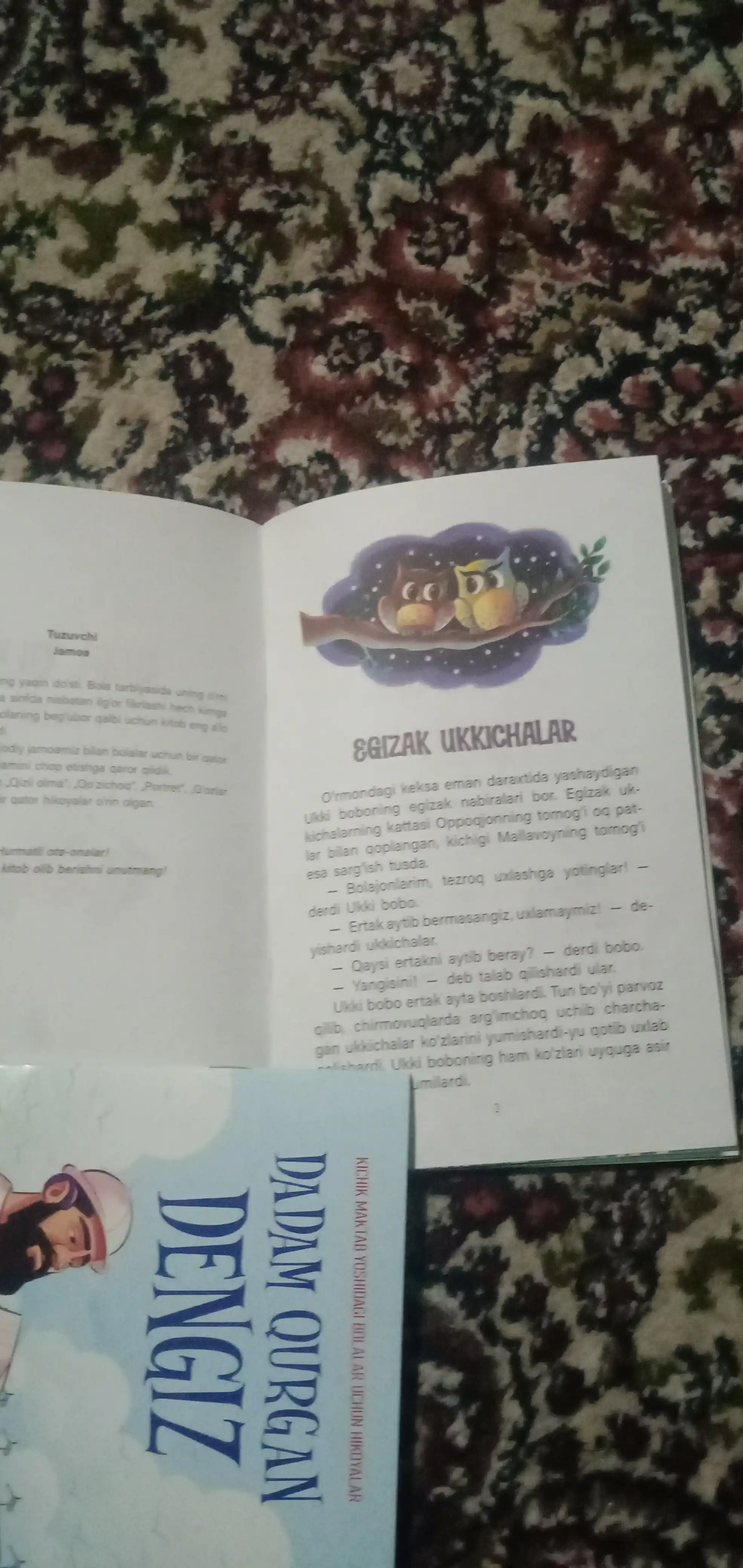 Ertak kitobi, o'zbek tilida ertaklar va ajoyib sherlar bolajonlar uchun