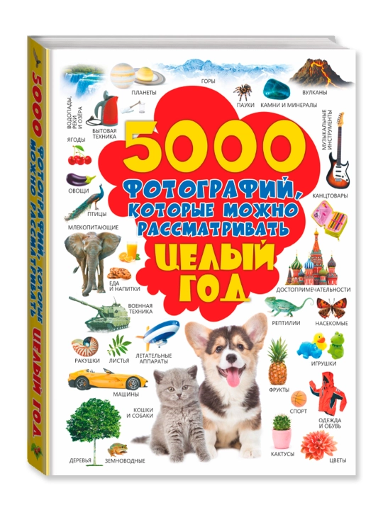 5000 фотографий, которые можно рассматривать целый год. Долманская Л.В. - 