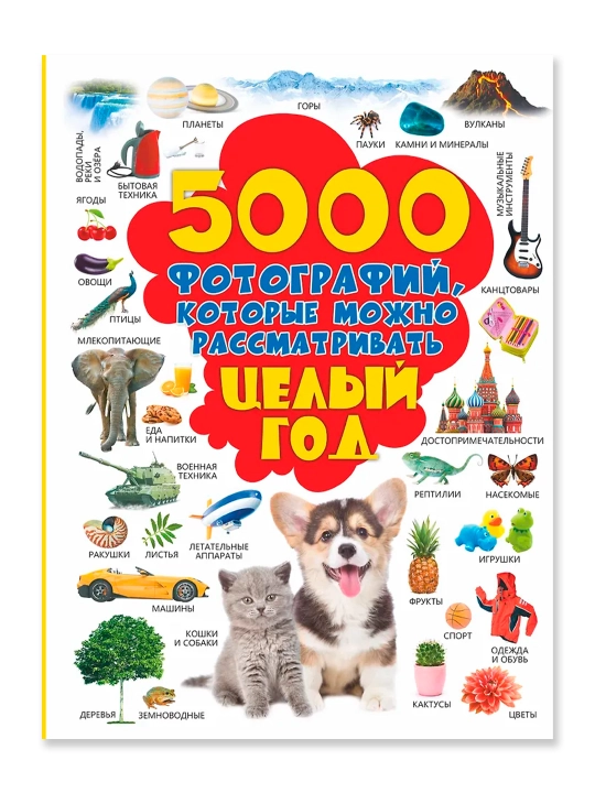Butun yil davomida ko'rib chiqilishi mumkin bo'lgan 5000 ta fotosurat. Dolmanskaya L. V.