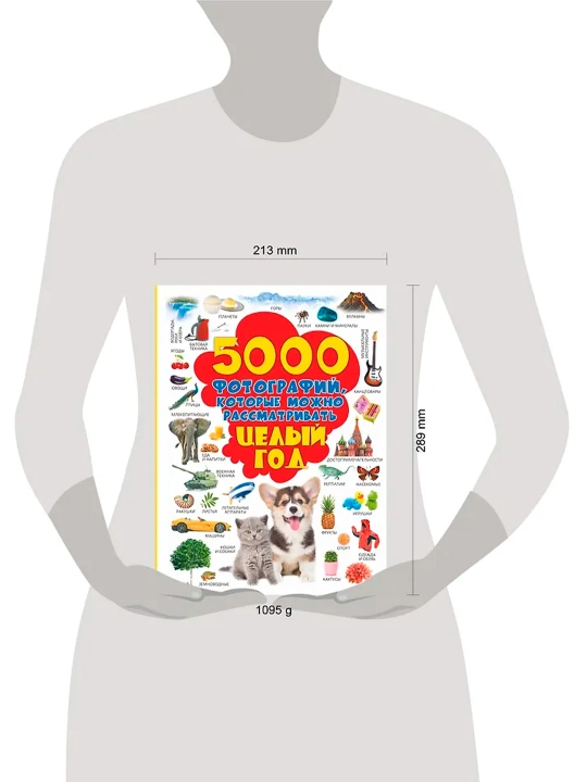 Butun yil davomida ko'rib chiqilishi mumkin bo'lgan 5000 ta fotosurat. Dolmanskaya L. V.