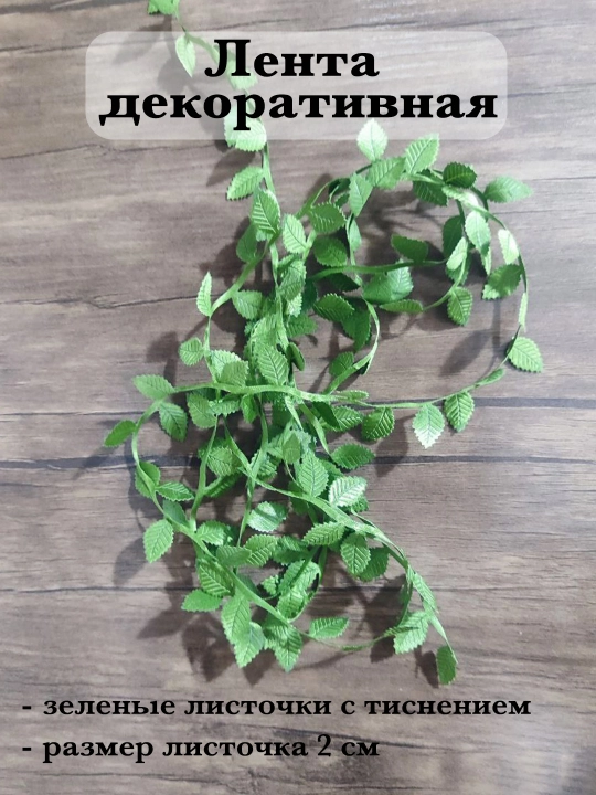 Dekorativ lentalar - 