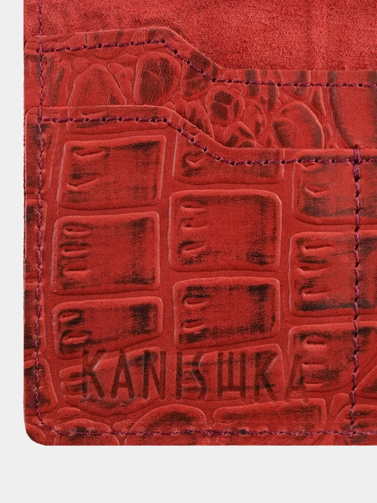 KANISHKA organayzer g‘ilofi PASPORT 2