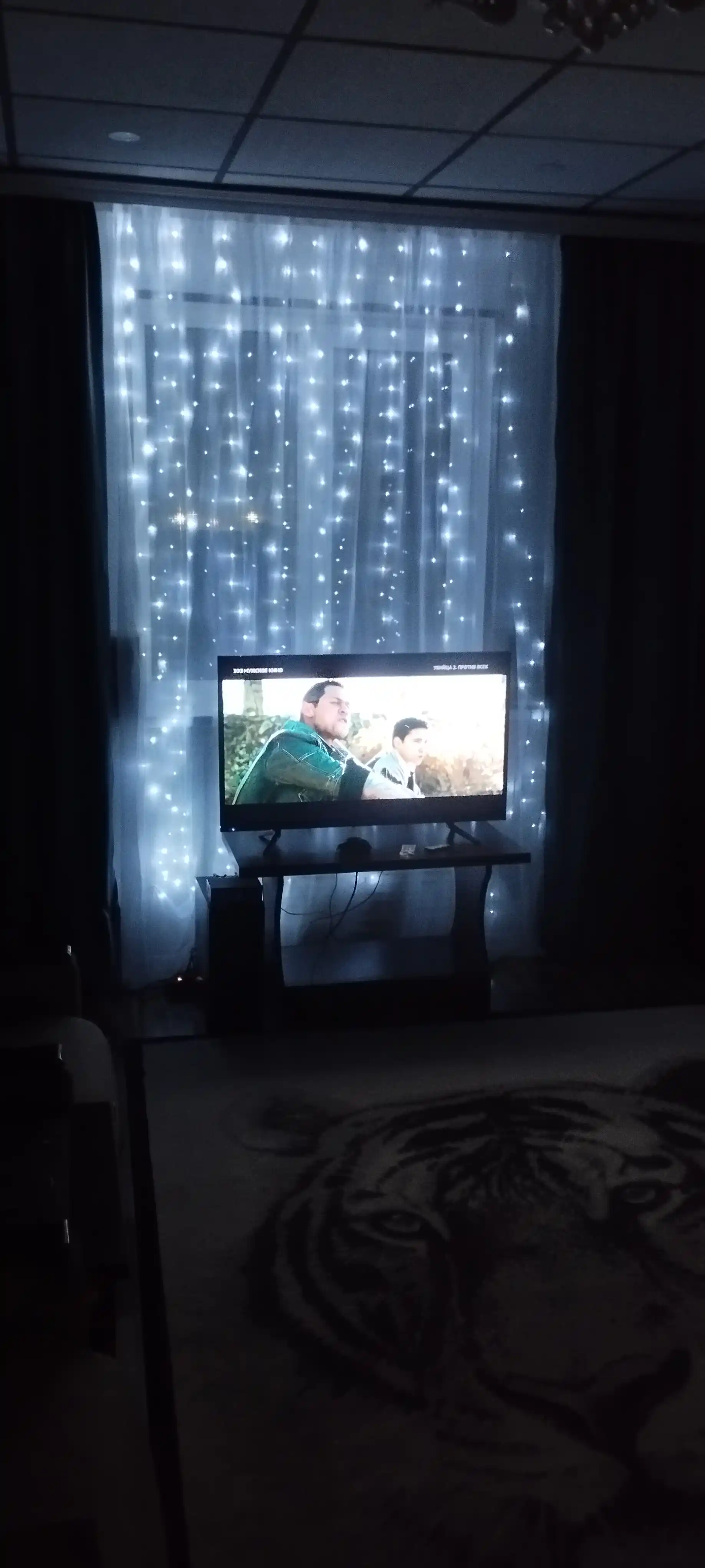 LED girlyanda pardasi Rosa 3x3, 3x2, 3x1 m — 8 rejim, pult, 10 ta ilgak, yangi yil uchun