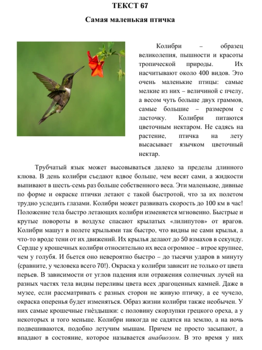 Chitatel`skaia gramotnost, Russkii` iazy`k i literatura, Abdurakhmanova Shokhsanam