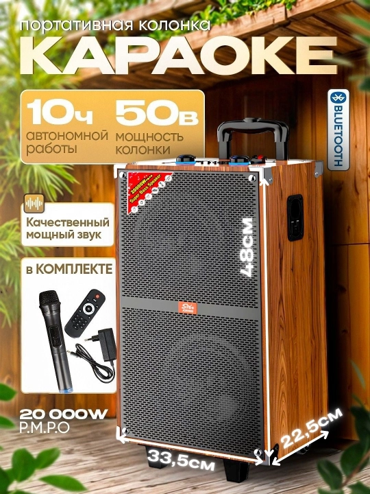 Колонка караоке, портативная беспроводная колонка с микрофоном Bluetooth, с пультом - 