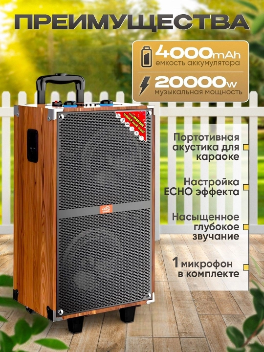 Portativ kalonkalar karaoke, Bluetooth kalonka mikrafon, masofadan boshqarish pulti