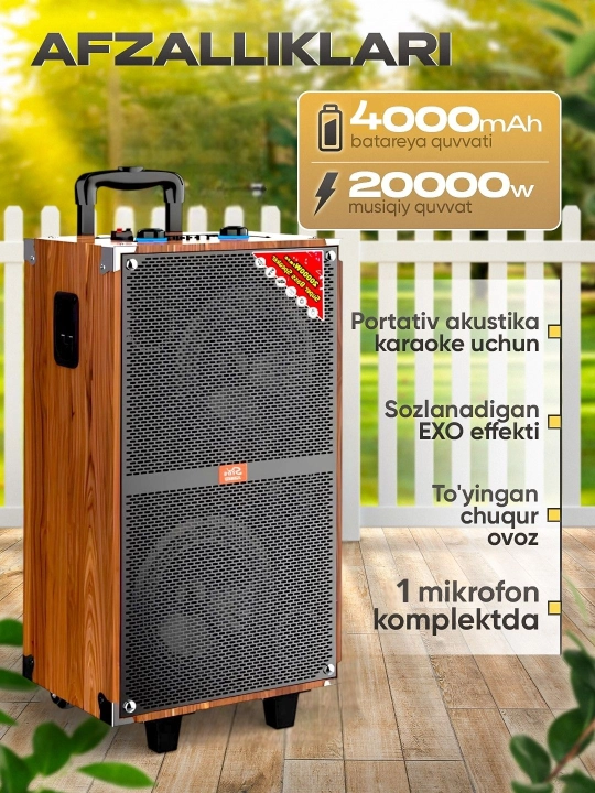 Portativ kalonkalar karaoke, Bluetooth kalonka mikrafon, masofadan boshqarish pulti