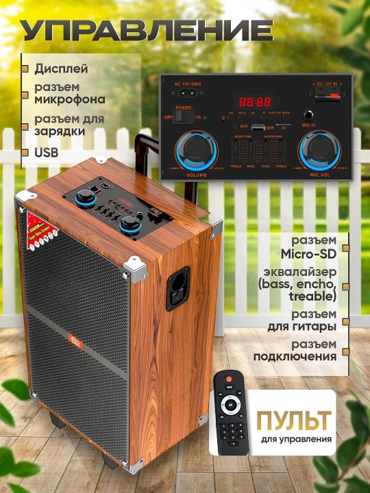 Portativ kalonkalar karaoke, Bluetooth kalonka mikrafon, masofadan boshqarish pulti