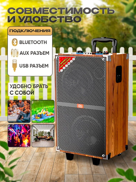 Portativ kalonkalar karaoke, Bluetooth kalonka mikrafon, masofadan boshqarish pulti