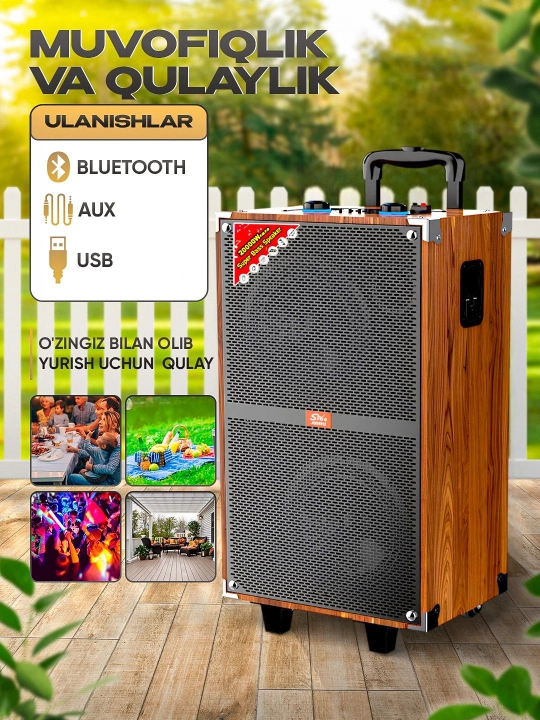 Portativ kalonkalar karaoke, Bluetooth kalonka mikrafon, masofadan boshqarish pulti