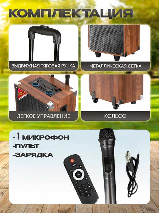 Portativ kalonkalar karaoke, Bluetooth kalonka mikrafon, masofadan boshqarish pulti