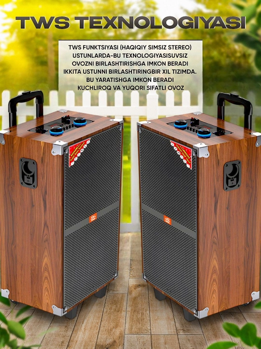 Portativ kalonkalar karaoke, Bluetooth kalonka mikrafon, masofadan boshqarish pulti
