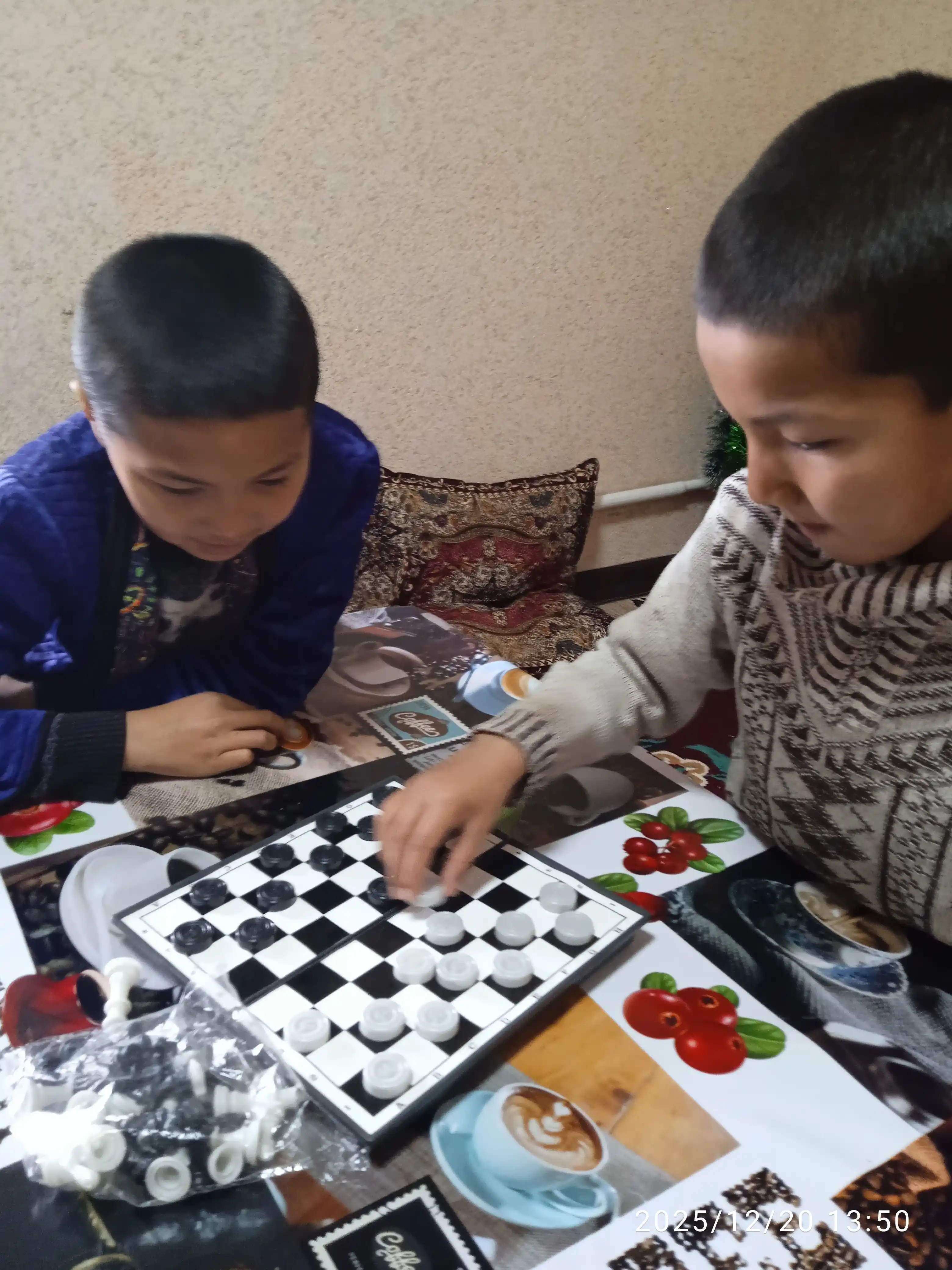 Шахматы, шашки, 2 в 1, 26 * 26 см
