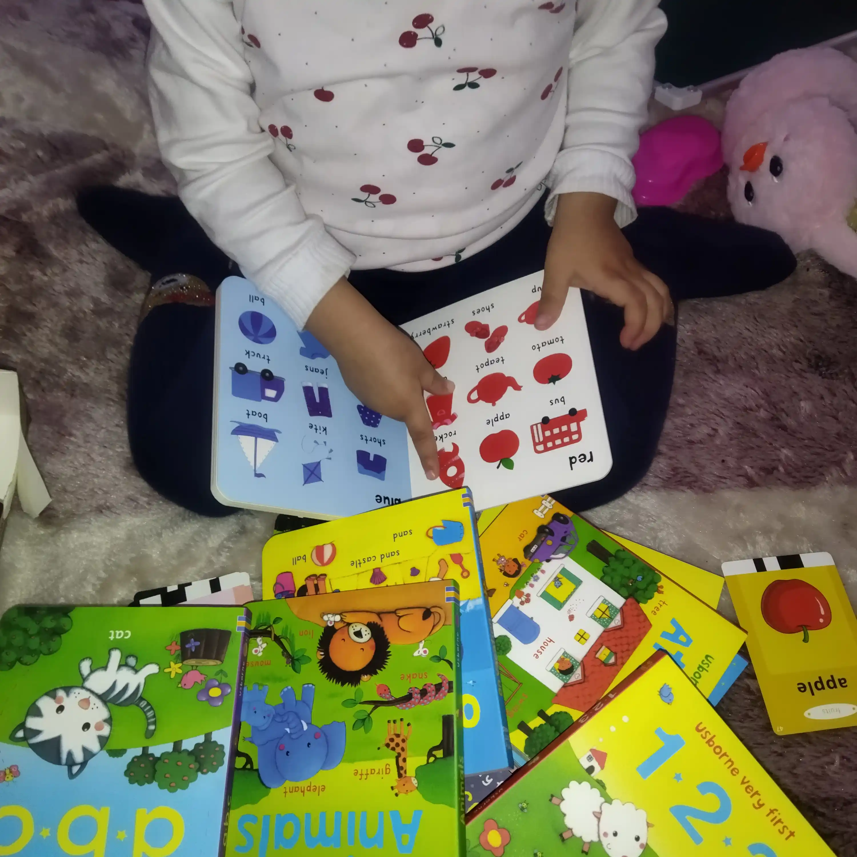 Набор Usborne Картонные Книжки  very first Words Мои самые первые слова