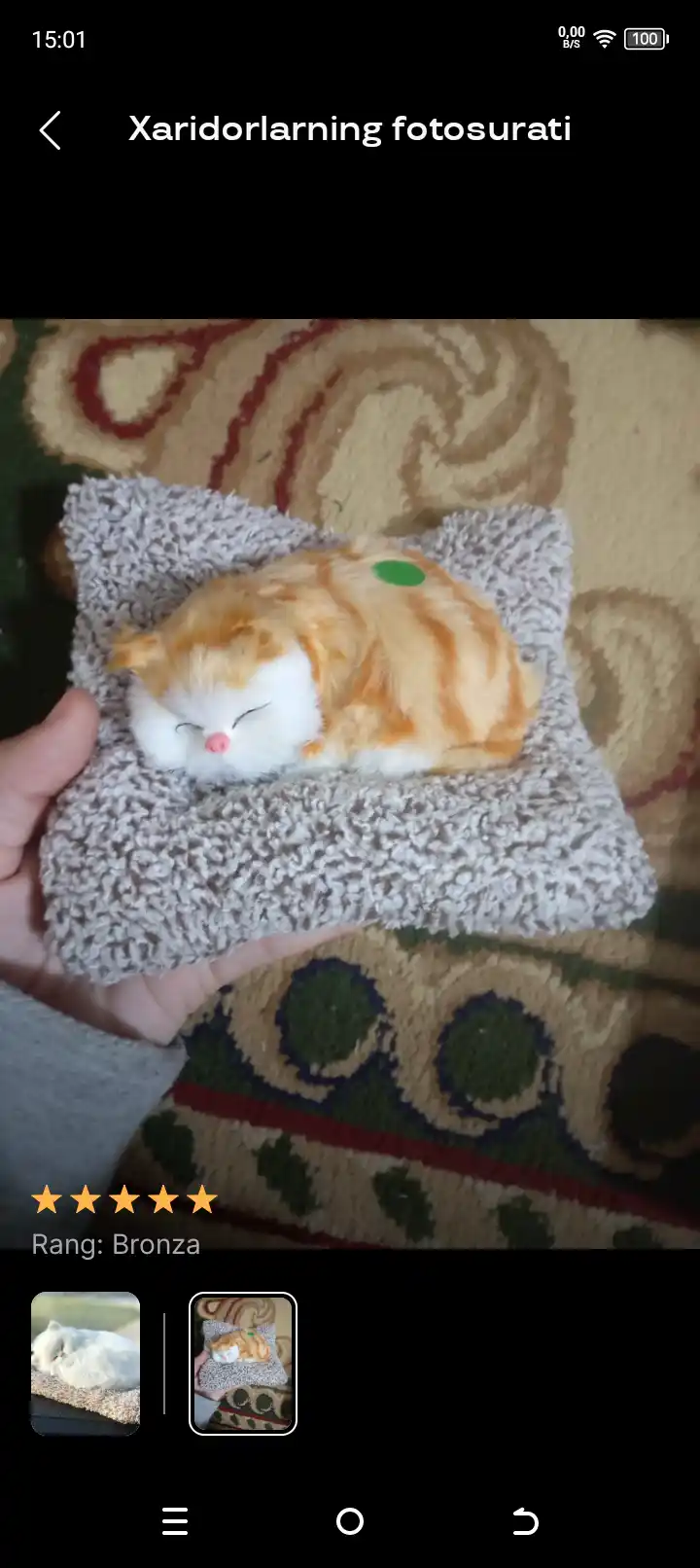 Сувенирная игрушка "Спящий котенок", для машины и дома 14х15,5 см