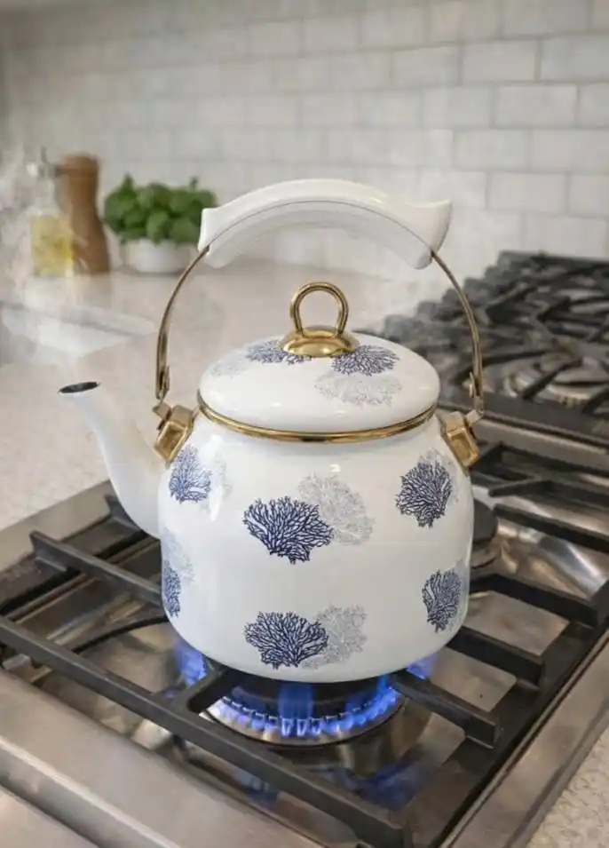 Turkiya сhoynak po'latli, HOMEV brendi, 2.5-3.5 litr