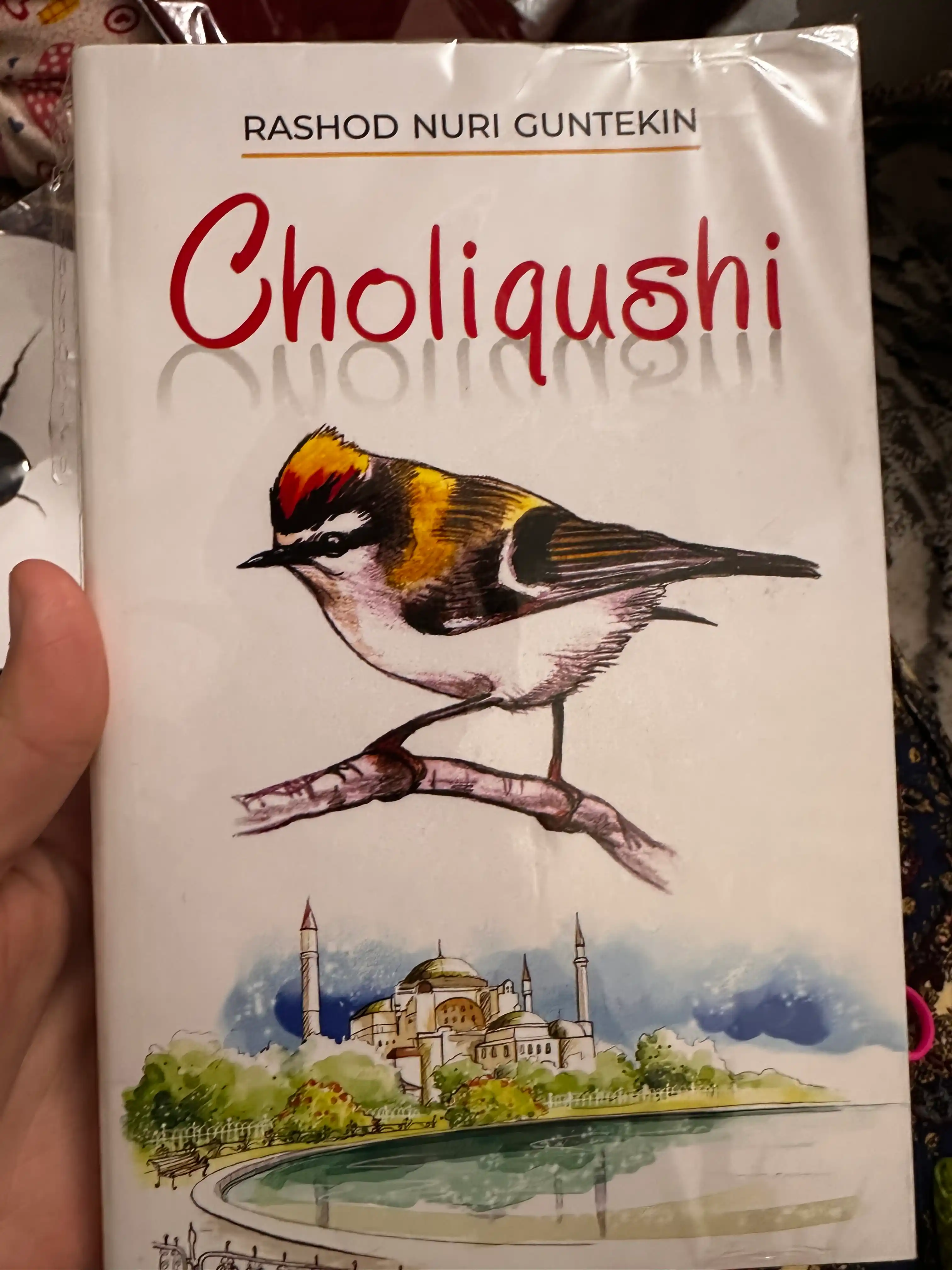 Чолиқуши Рашод Нури Гунтекин