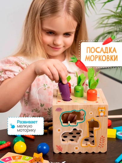 Сортер 8 в 1 деревянный развивающий, игрушка Монтессори