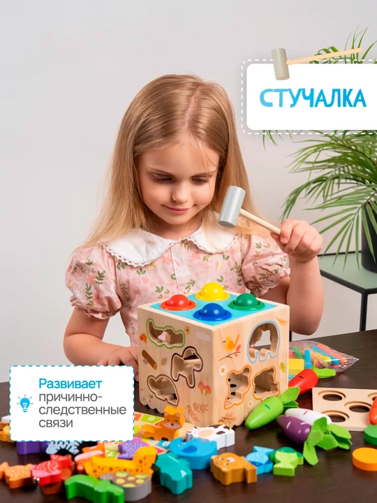 Сортер 8 в 1 деревянный развивающий, игрушка Монтессори