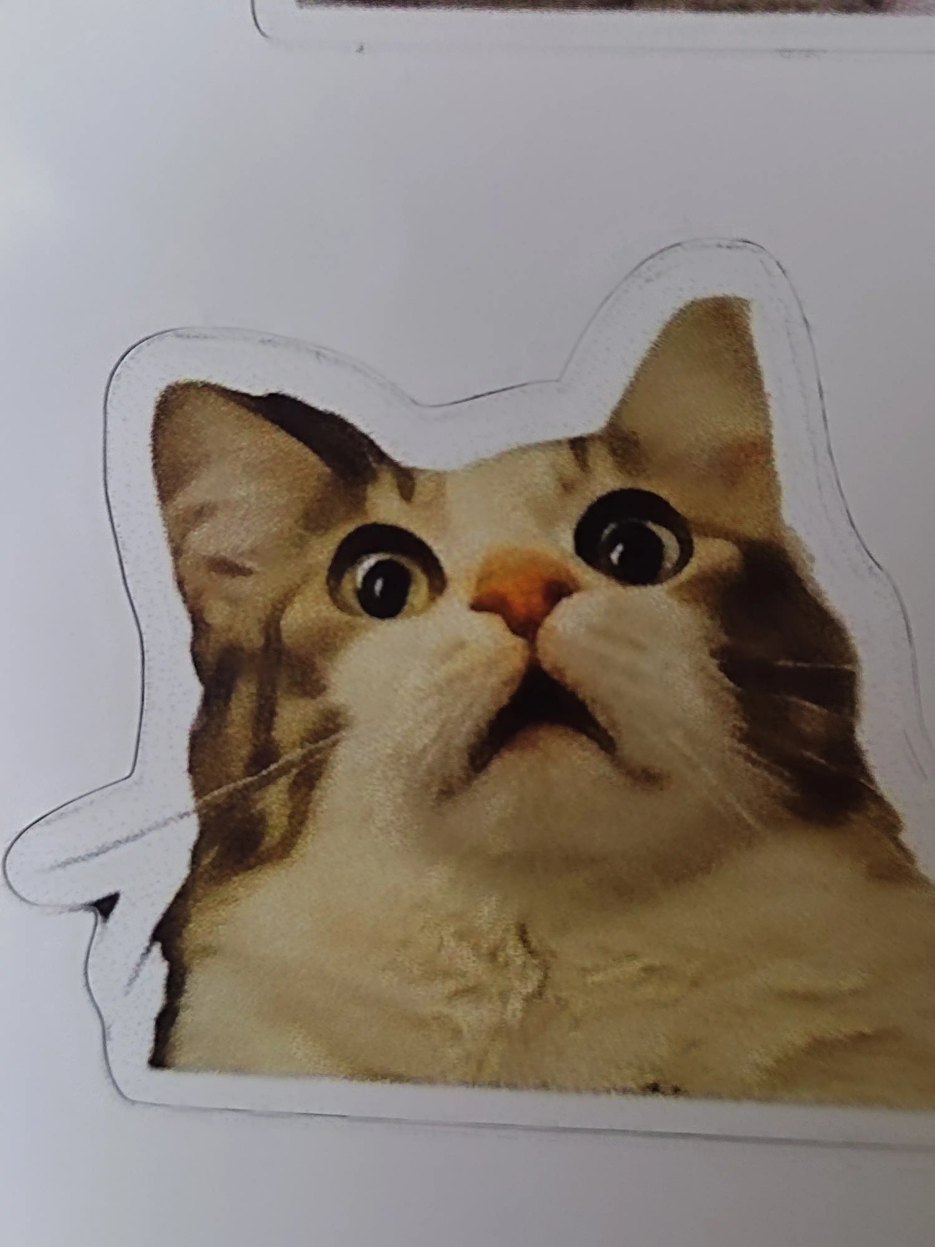 Стикеры смешных котят