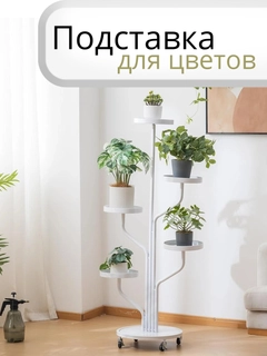 Прозрачный