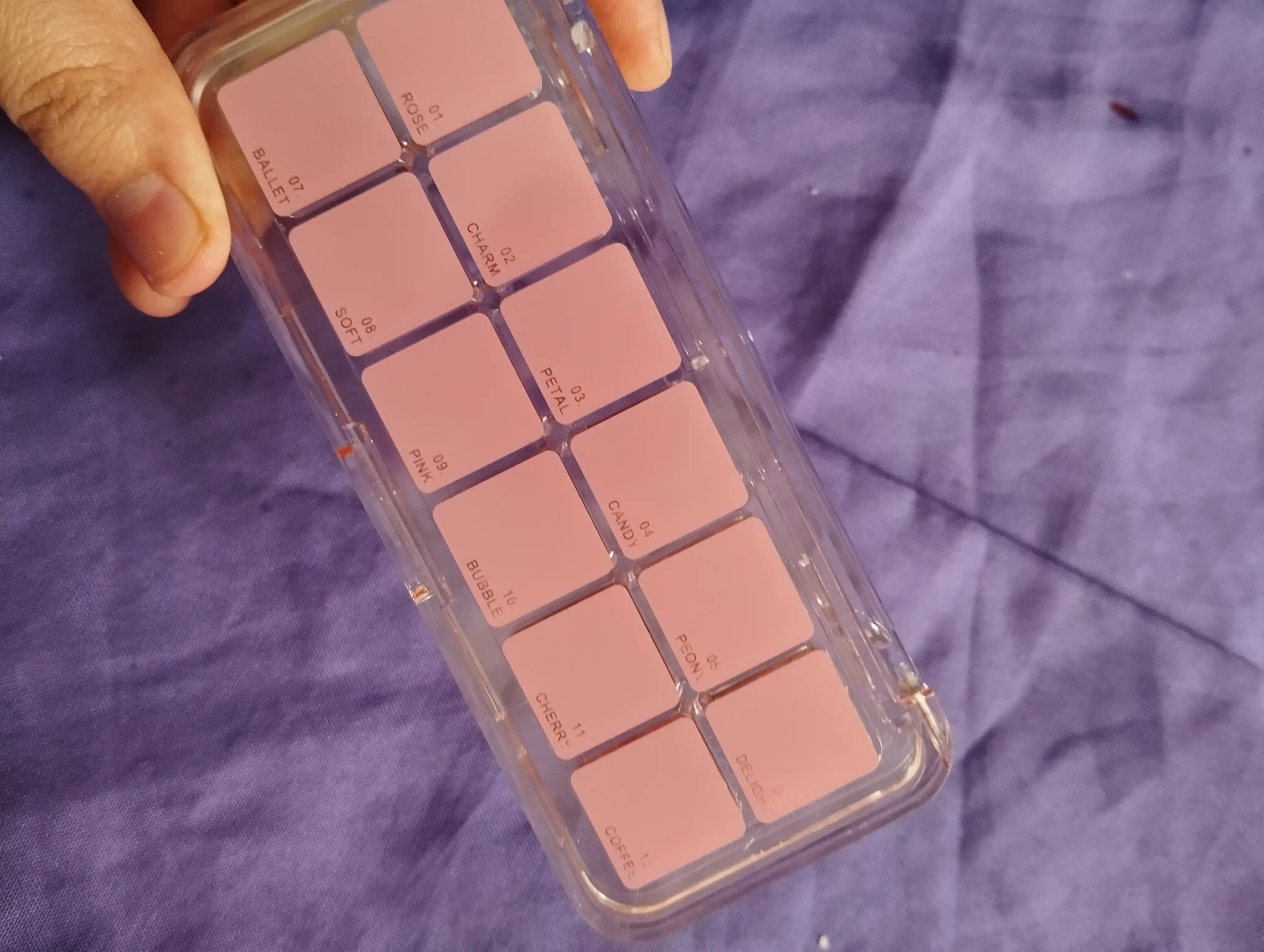 Палетка теней для век ANYLADY 12 Color Eyeshadow Palette