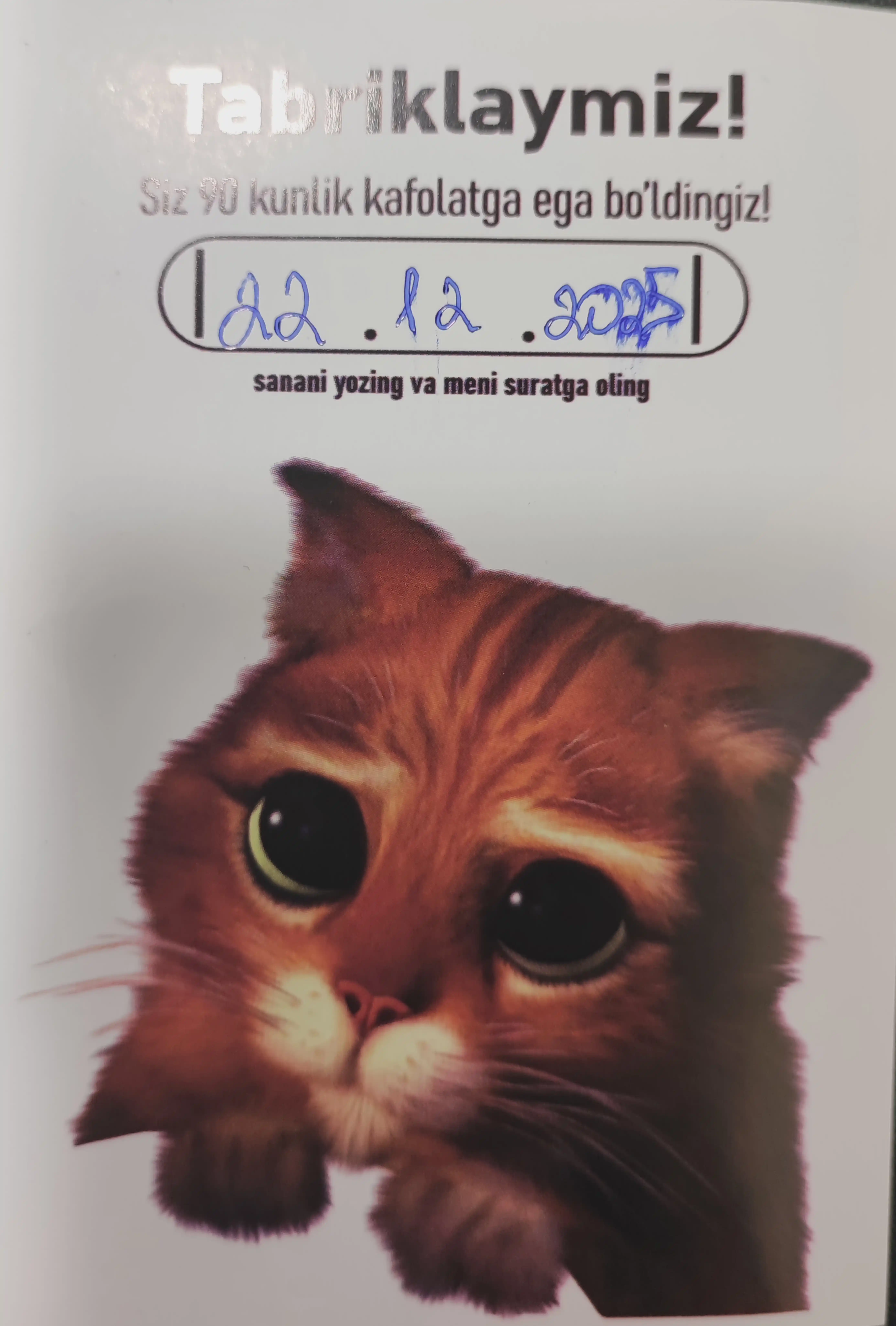 Elektr ustara va trimmer 3 tasi 1 da, mashinkalar soqol olish uchun, trimmer
