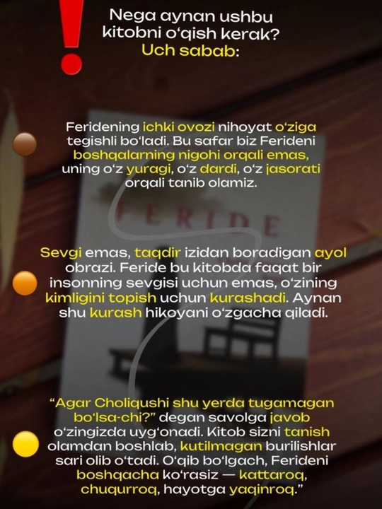 Feride yoxud Choliqushining baxti — Badri Rahmiy Hametdin, roman