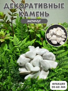 Kumush rang