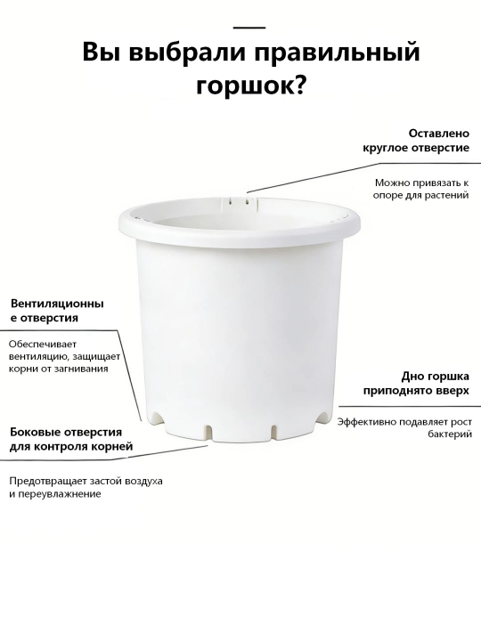 Taglikli kashpo gullar uchun, uy va bog‘ uchun, 1 dona