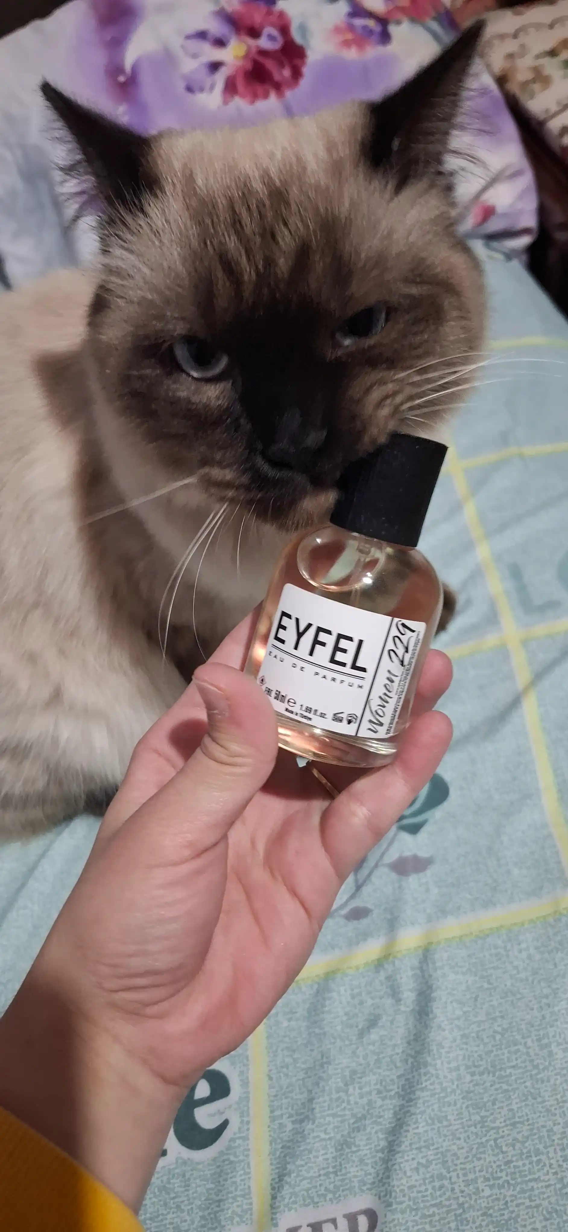 Парфюмерная вода для женщин "Eyfel"